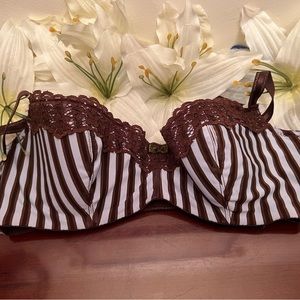 Q T Brown and Blue bra size 34c.